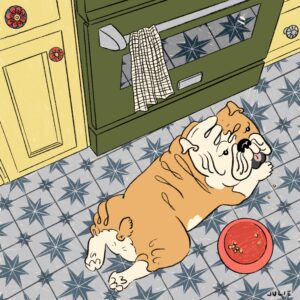 Jack the Bulldog