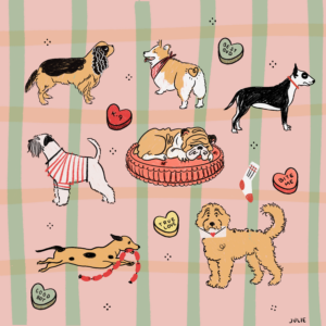 Dog Patch #2